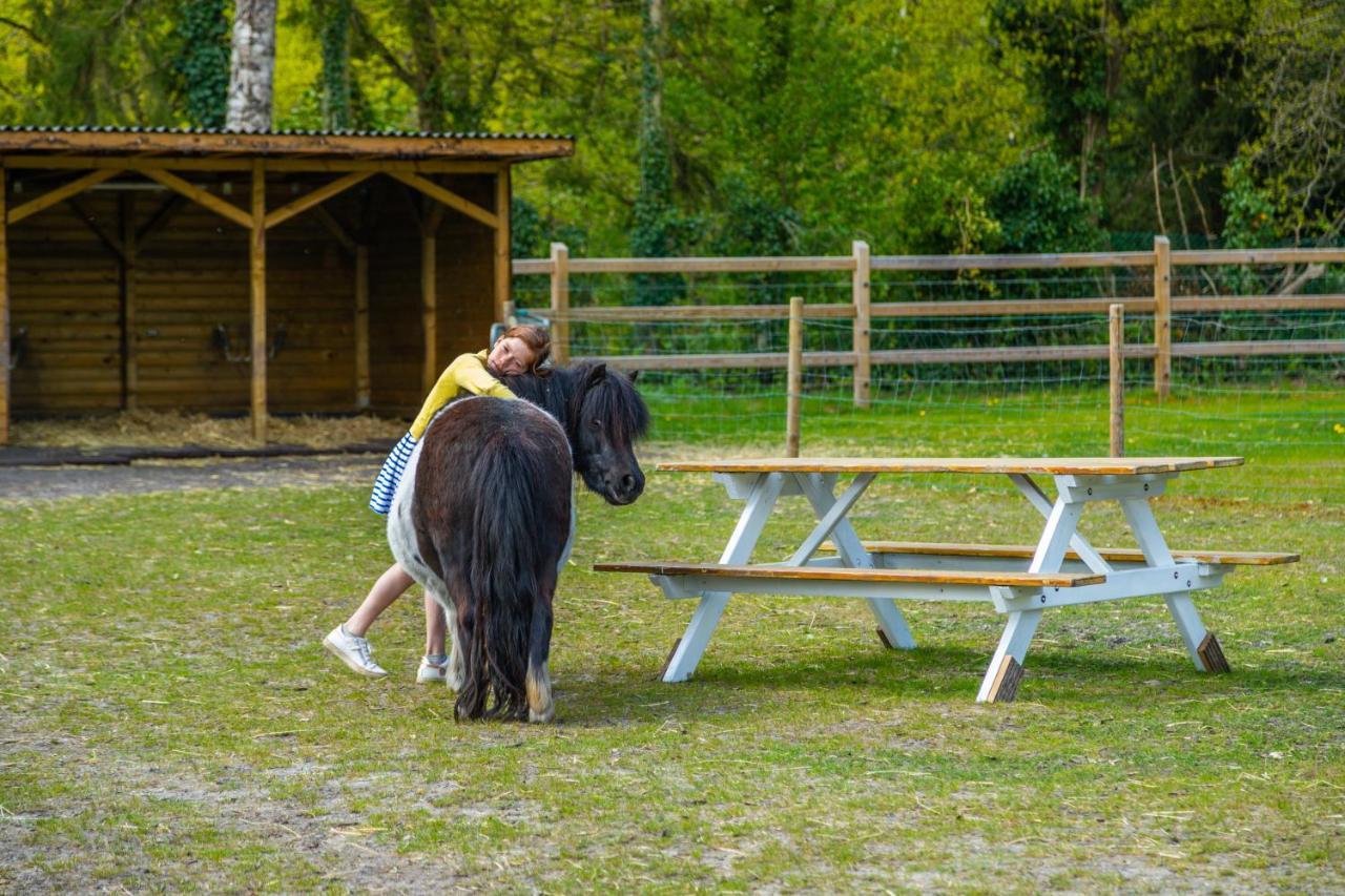 Europarcs Hoge Kempen Zutendaal Kültér fotó