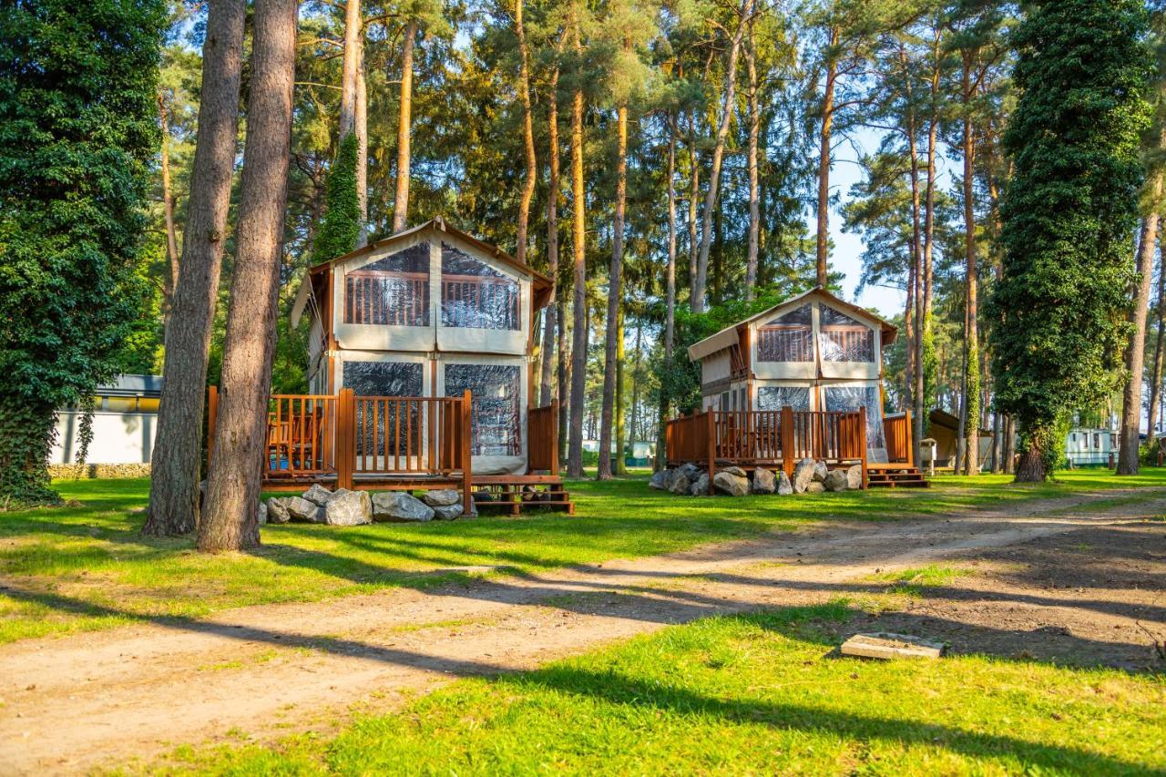 Europarcs Hoge Kempen Zutendaal Kültér fotó