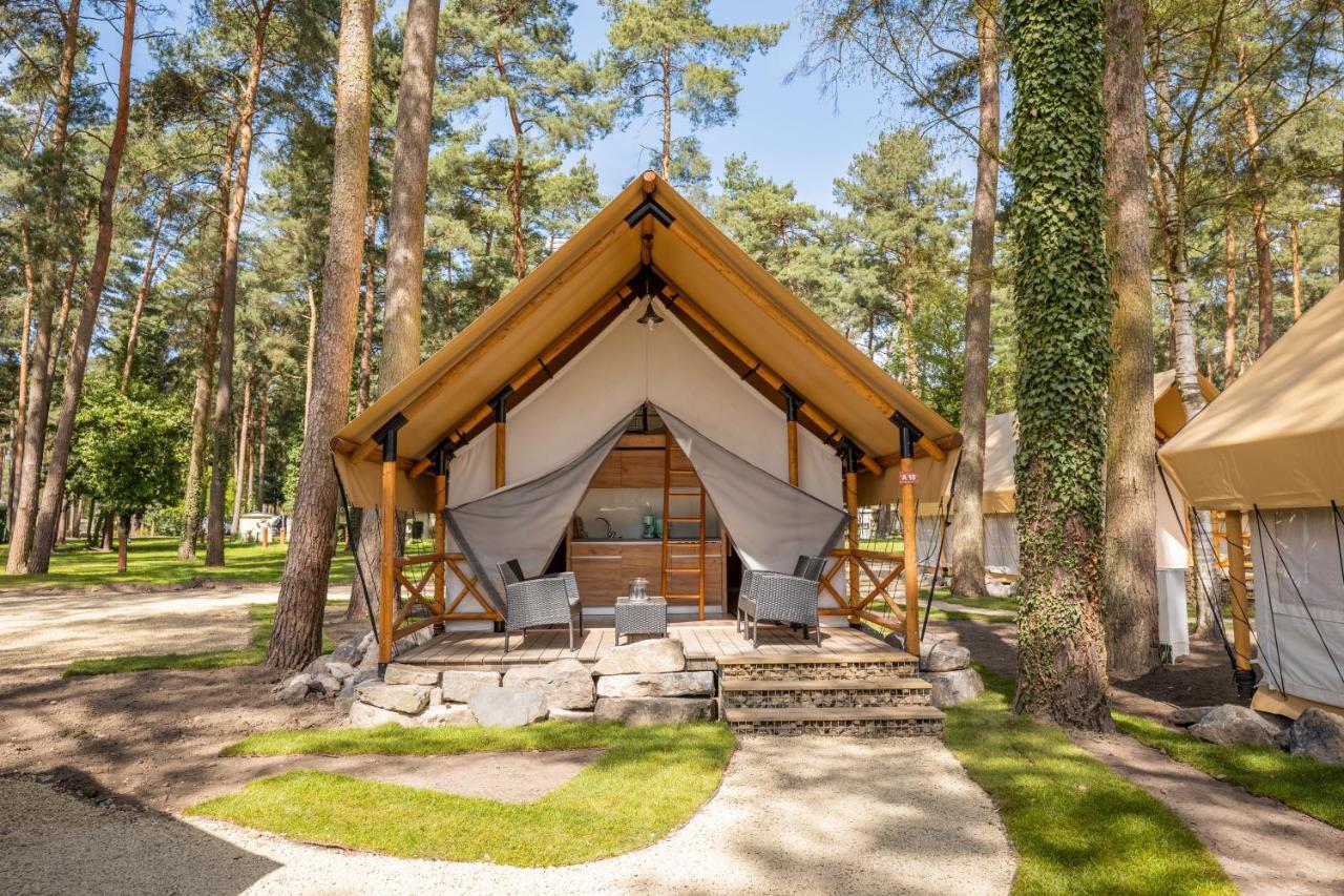 Europarcs Hoge Kempen Zutendaal Szoba fotó