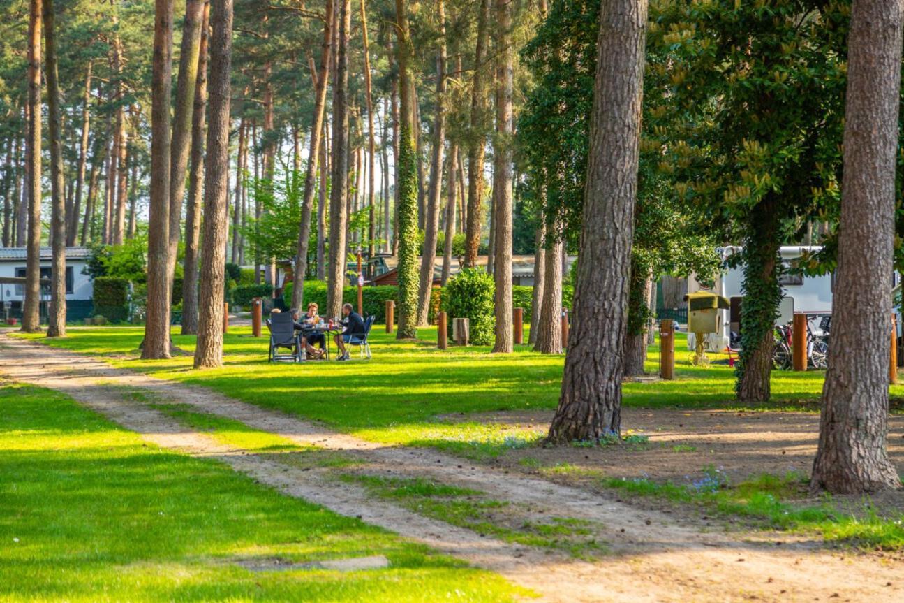 Europarcs Hoge Kempen Zutendaal Kültér fotó